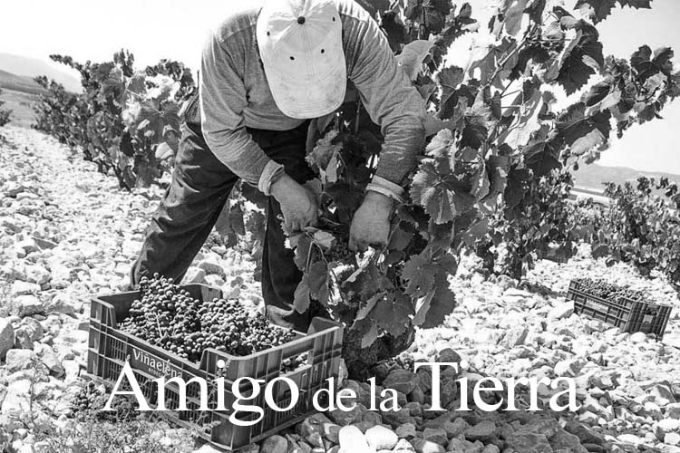 Amigo de la Tierra