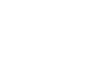 warsteiner white